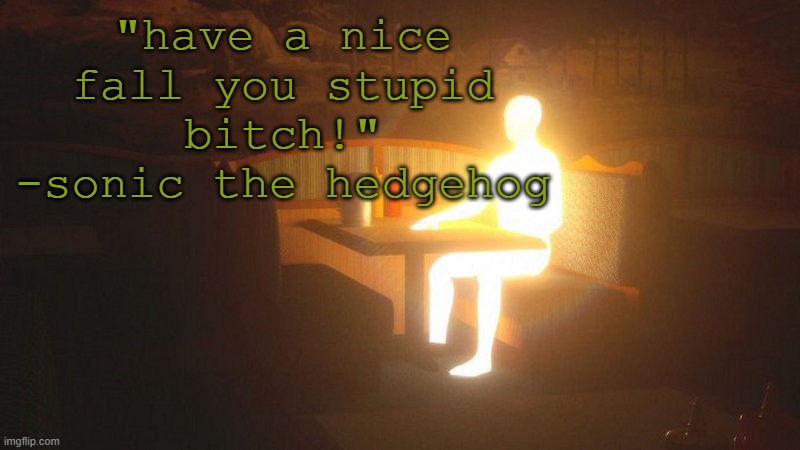 Glowing Guy | "have a nice fall you stupid bitch!" -sonic the hedgehog | image tagged in glowing guy | made w/ Imgflip meme maker