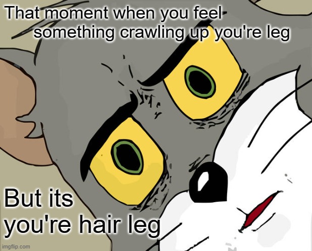 Always happens | That moment when you feel
      something crawling up you're leg; But its you're hair leg | image tagged in memes,unsettled tom,bruh,shocked,tom the cat shooting himself | made w/ Imgflip meme maker