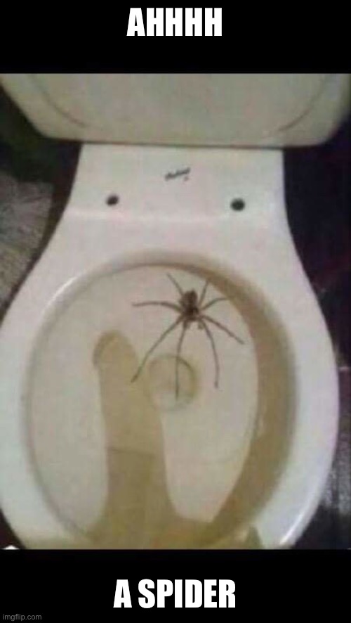 AHHHH; A SPIDER | made w/ Imgflip meme maker