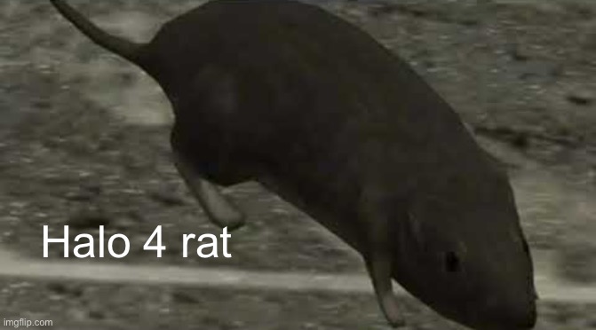 :troll: | Halo 4 rat | image tagged in halo 3 rat | made w/ Imgflip meme maker