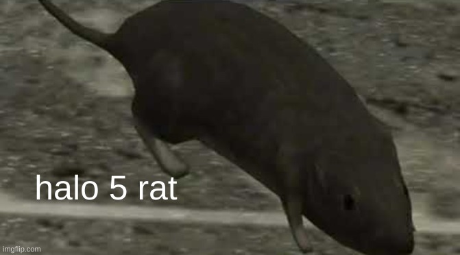 Halo 3 Rat | halo 5 rat | image tagged in halo 3 rat | made w/ Imgflip meme maker