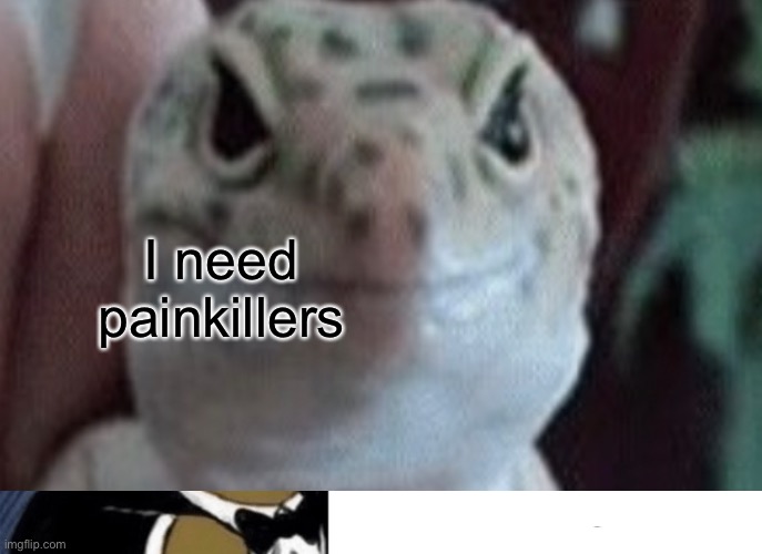 Paul killers??? | I need painkillers | image tagged in gecko | made w/ Imgflip meme maker