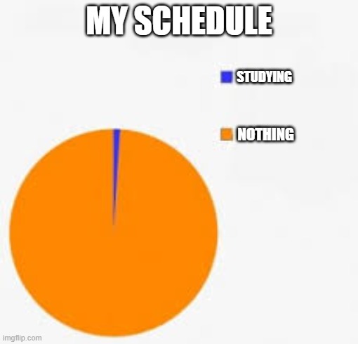 Pie Chart Meme | MY SCHEDULE; STUDYING; NOTHING | image tagged in pie chart meme | made w/ Imgflip meme maker