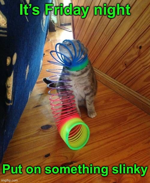 Slinky | It’s Friday night; Put on something slinky | image tagged in funny memes,cats,funny cat memes | made w/ Imgflip meme maker