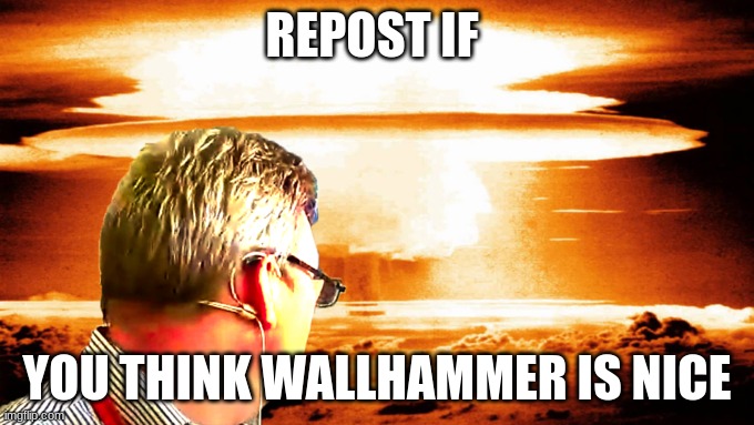 looking at explosion | REPOST IF; YOU THINK WALLHAMMER IS NICE | image tagged in looking at explosion | made w/ Imgflip meme maker