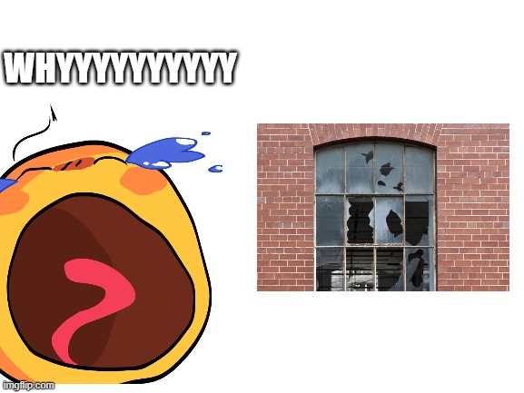 I BROKE MY BEDROOM WINDOW! :( |  WHYYYYYYYYYY | image tagged in sadness,pain | made w/ Imgflip meme maker