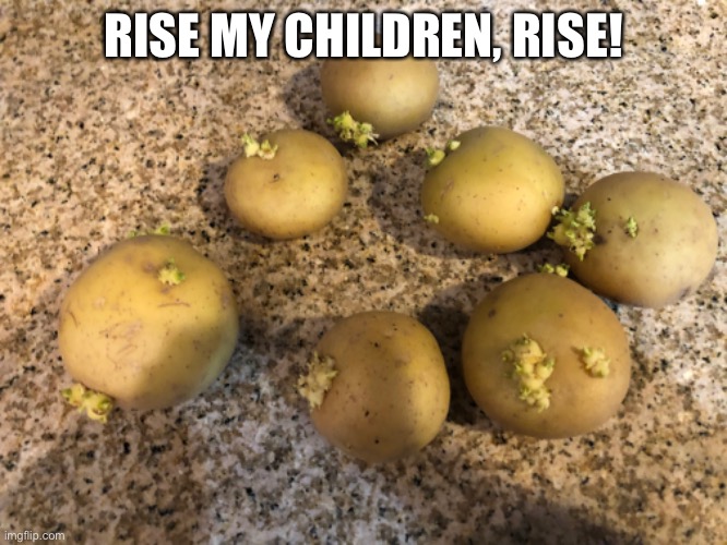 RISE MY CHILDREN, RISE! | made w/ Imgflip meme maker