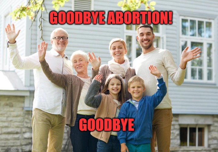 GOODBYE ABORTION! GOODBYE | image tagged in funny memes | made w/ Imgflip meme maker