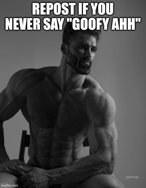 Giga Chad | REPOST IF YOU NEVER SAY "GOOFY AHH" | image tagged in giga chad | made w/ Imgflip meme maker