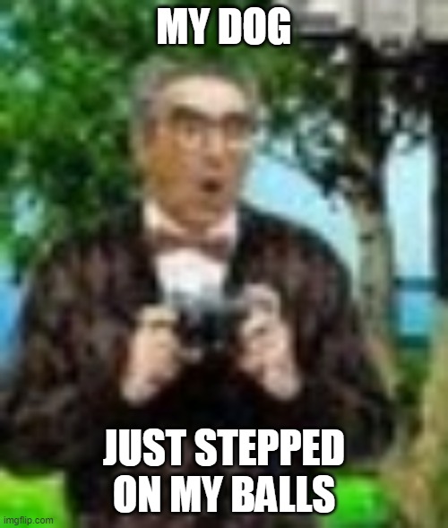 when bobbies!!!! | MY DOG; JUST STEPPED ON MY BALLS | image tagged in when bobbies | made w/ Imgflip meme maker