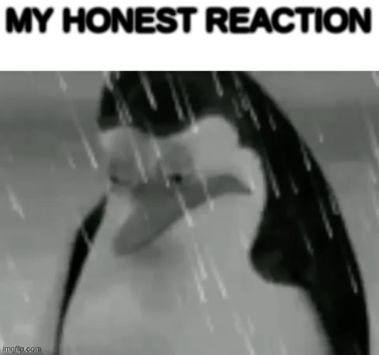 LmfOFWOaGRGE- | MY HONEST REACTION | image tagged in the sad | made w/ Imgflip meme maker