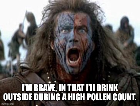 Brave | I’M BRAVE, IN THAT I’II DRINK OUTSIDE DURING A HIGH POLLEN COUNT. | image tagged in braveheart,brave,drink outside,high pollen,count | made w/ Imgflip meme maker