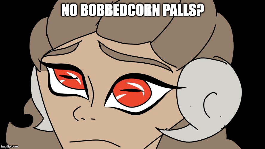 i dont know, don't ask | NO BOBBEDCORN PALLS? | image tagged in oc,no bitches,what did i do | made w/ Imgflip meme maker