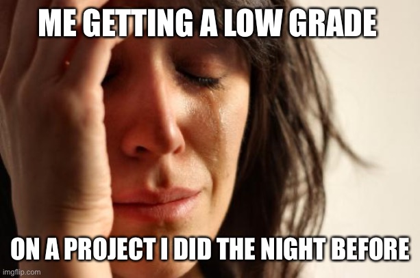 First World Problems Meme | ME GETTING A LOW GRADE; ON A PROJECT I DID THE NIGHT BEFORE | image tagged in memes,first world problems | made w/ Imgflip meme maker