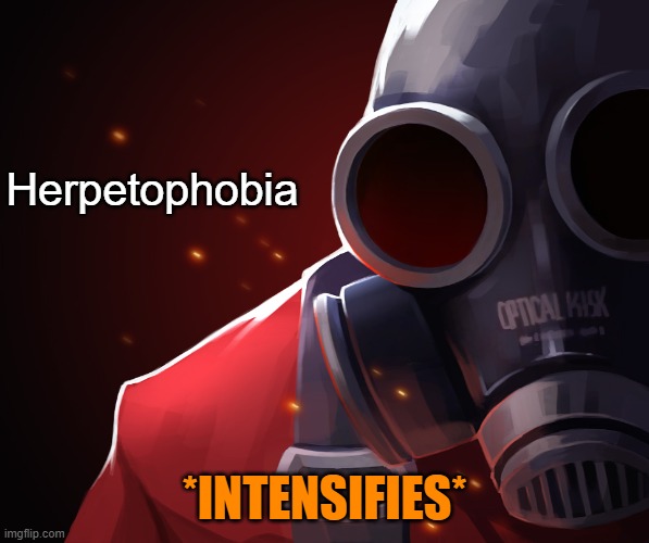 Pyro custom phobia | Herpetophobia *INTENSIFIES* | image tagged in pyro custom phobia | made w/ Imgflip meme maker