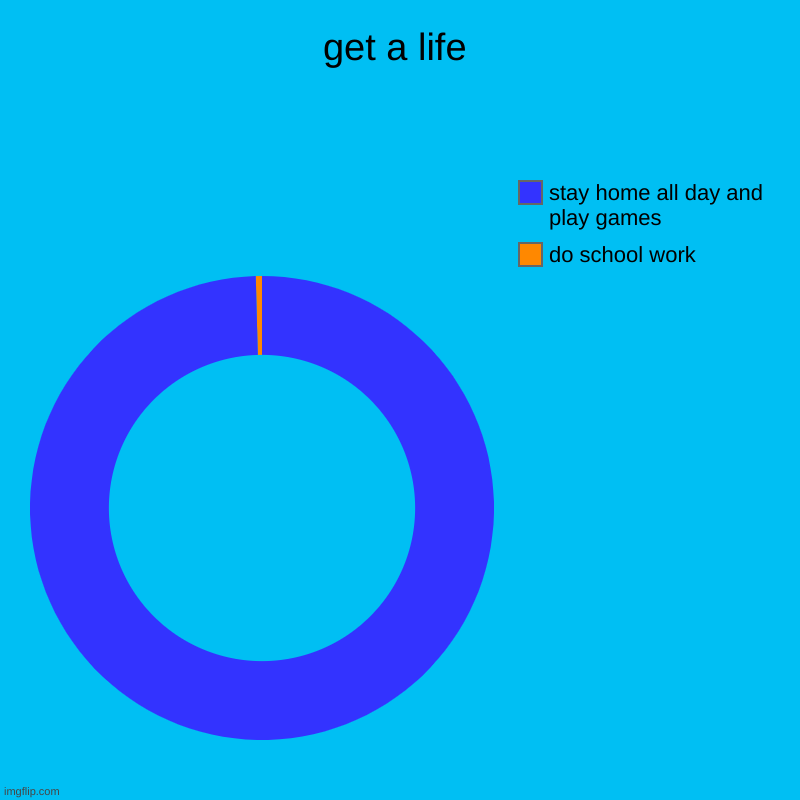 Life | get a life | do school work, stay home all day and play games | image tagged in charts,donut charts | made w/ Imgflip chart maker