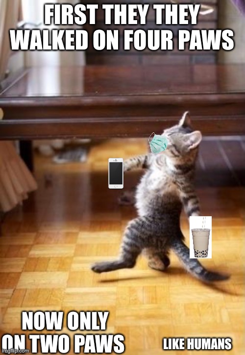 Cool Cat Stroll | FIRST THEY THEY WALKED ON FOUR PAWS; NOW ONLY ON TWO PAWS; LIKE HUMANS | image tagged in memes,cool cat stroll | made w/ Imgflip meme maker