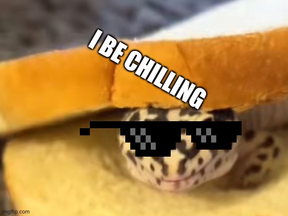 Sandwich | I BE CHILLING | image tagged in gecko | made w/ Imgflip meme maker