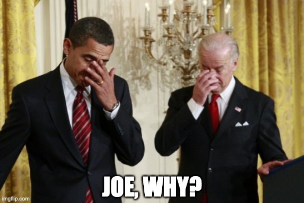 Joe, why? | JOE, WHY? | image tagged in obama-biden facepalm | made w/ Imgflip meme maker