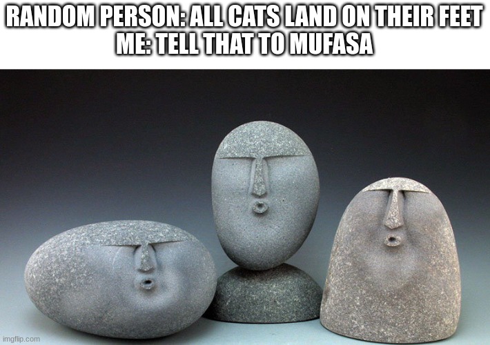 Oof Stones | RANDOM PERSON: ALL CATS LAND ON THEIR FEET
ME: TELL THAT TO MUFASA | image tagged in oof stones | made w/ Imgflip meme maker