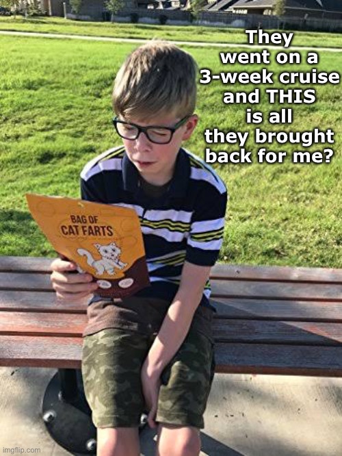 Cheap Parents | They went on a 3-week cruise and THIS is all they brought back for me? | image tagged in funny memes,bag of cat farts | made w/ Imgflip meme maker