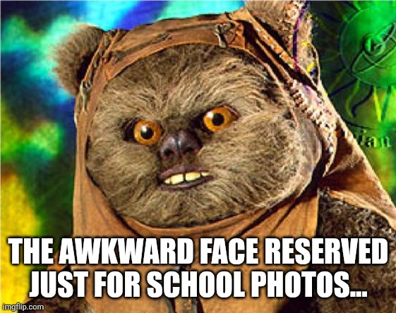 Angry Ewok | THE AWKWARD FACE RESERVED JUST FOR SCHOOL PHOTOS... | image tagged in angry ewok | made w/ Imgflip meme maker