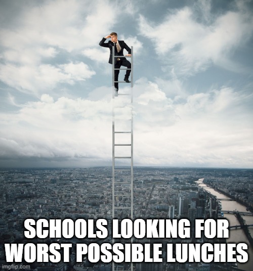 why tho | SCHOOLS LOOKING FOR WORST POSSIBLE LUNCHES | image tagged in searching | made w/ Imgflip meme maker