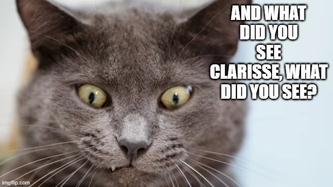 That Look | AND WHAT DID YOU SEE CLARISSE, WHAT DID YOU SEE? | image tagged in funny cats | made w/ Imgflip meme maker