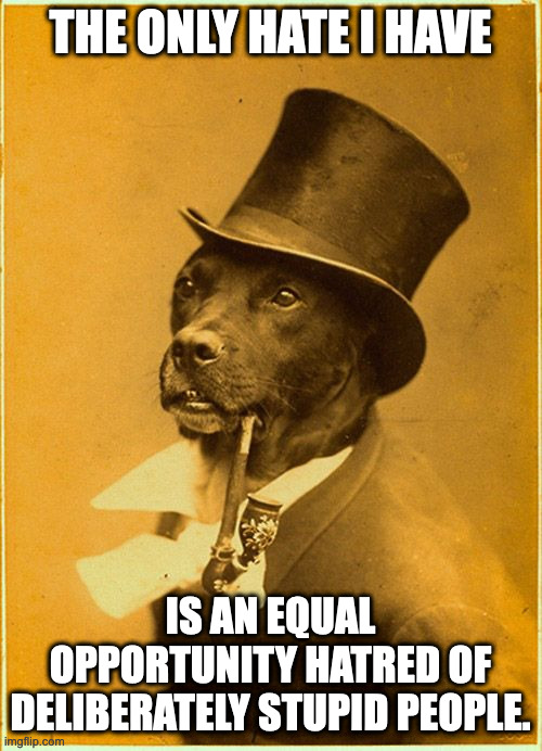 Dapper | THE ONLY HATE I HAVE IS AN EQUAL OPPORTUNITY HATRED OF DELIBERATELY STUPID PEOPLE. | image tagged in dapper | made w/ Imgflip meme maker