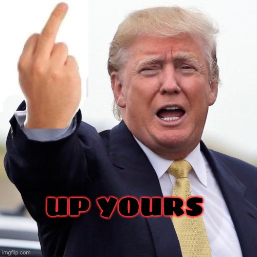 Donald Trump middle finger | UP YOURS | image tagged in donald trump middle finger | made w/ Imgflip meme maker