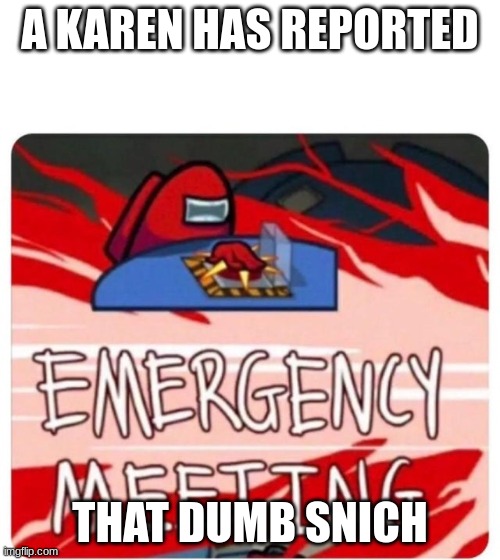 Emergency Meeting Among Us | A KAREN HAS REPORTED; THAT DUMB SNICH | image tagged in emergency meeting among us | made w/ Imgflip meme maker