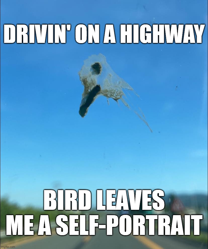 Signed by the Artist | DRIVIN' ON A HIGHWAY; BIRD LEAVES ME A SELF-PORTRAIT | image tagged in meme,memes,humor,things with faces | made w/ Imgflip meme maker