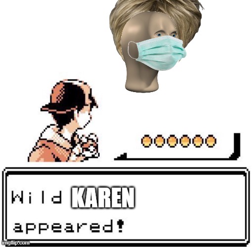 Blank Wild Pokemon Appears |  KAREN | image tagged in blank wild pokemon appears,karen,pokemon,fun,funny | made w/ Imgflip meme maker
