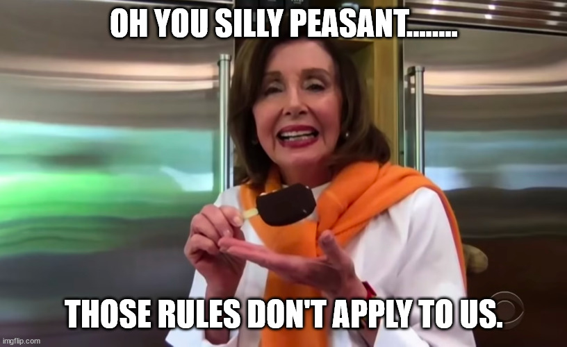 Nancy Pelosi Ice Cream | OH YOU SILLY PEASANT........ THOSE RULES DON'T APPLY TO US. | image tagged in nancy pelosi ice cream | made w/ Imgflip meme maker