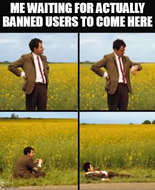 Mr bean waiting |  ME WAITING FOR ACTUALLY BANNED USERS TO COME HERE | image tagged in mr bean waiting | made w/ Imgflip meme maker