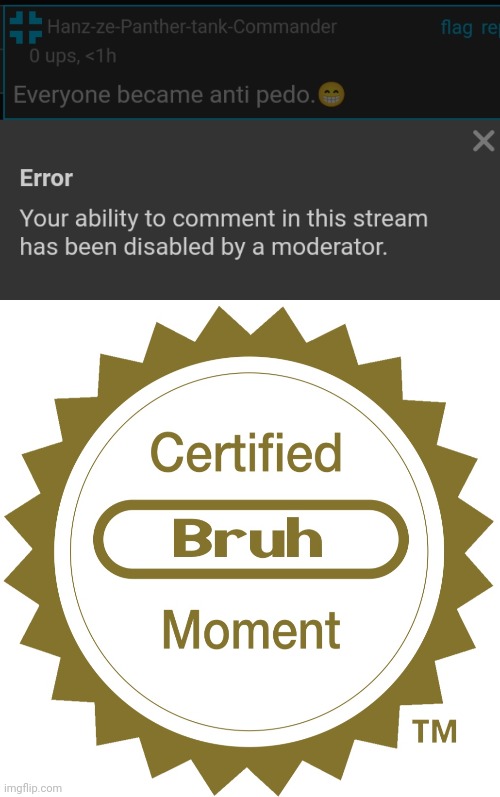 Why | image tagged in certified bruh moment | made w/ Imgflip meme maker