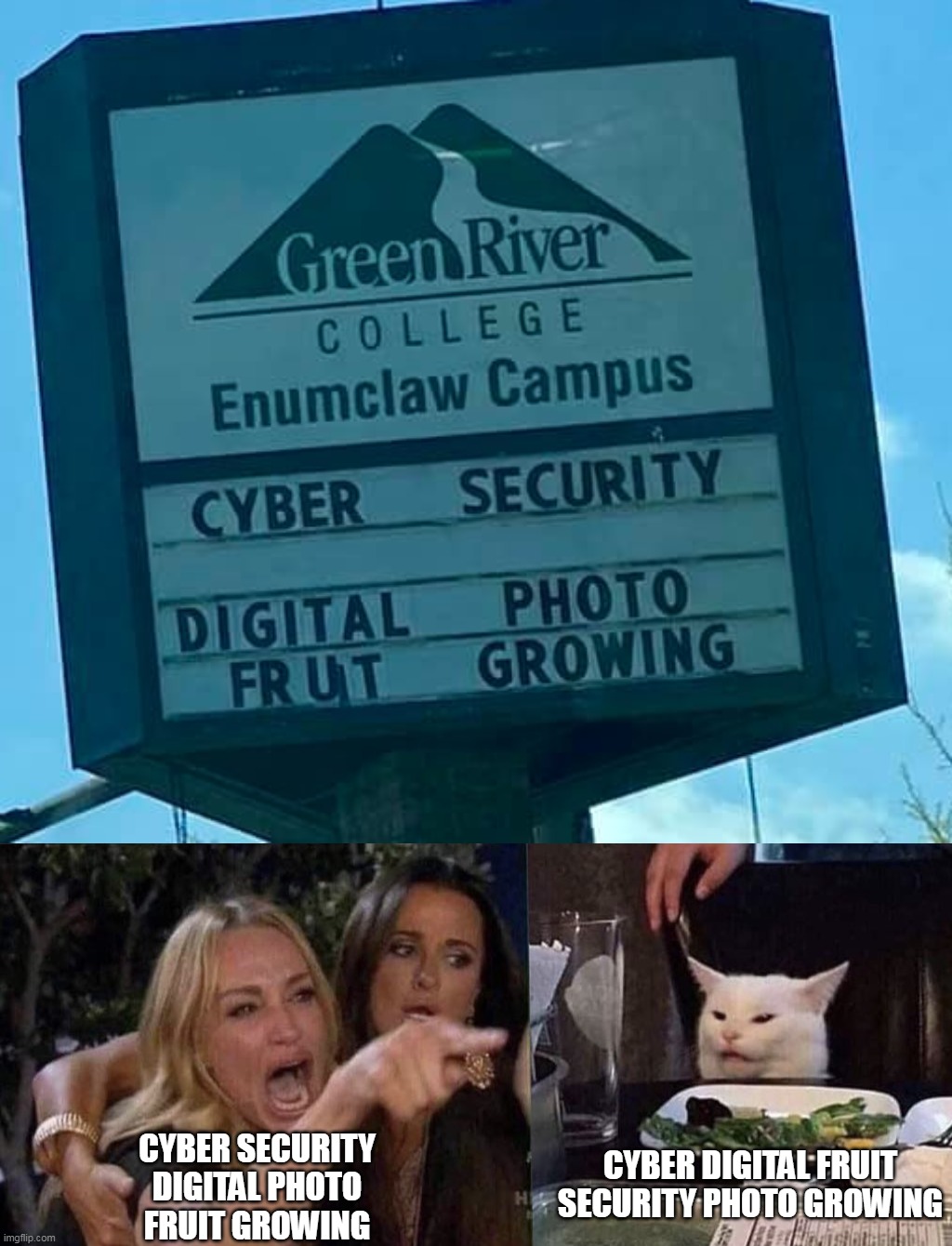 CYBER DIGITAL FRUIT
SECURITY PHOTO GROWING; CYBER SECURITY
DIGITAL PHOTO
FRUIT GROWING | image tagged in woman yelling at cat,meme,memes,signs | made w/ Imgflip meme maker