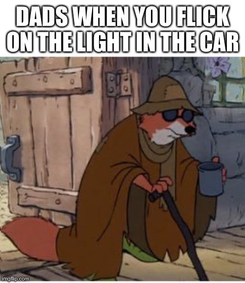 Blind Fox | DADS WHEN YOU FLICK ON THE LIGHT IN THE CAR | image tagged in blind fox,blind | made w/ Imgflip meme maker