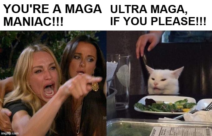 Get It Right | YOU'RE A MAGA
MANIAC!!! ULTRA MAGA, 
IF YOU PLEASE!!! | image tagged in memes,woman yelling at cat | made w/ Imgflip meme maker