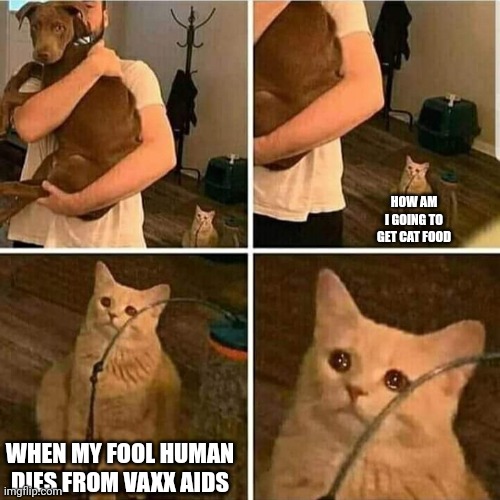 Sad Cat Holding Dog | HOW AM I GOING TO GET CAT FOOD; WHEN MY FOOL HUMAN DIES FROM VAXX AIDS | image tagged in sad cat holding dog | made w/ Imgflip meme maker