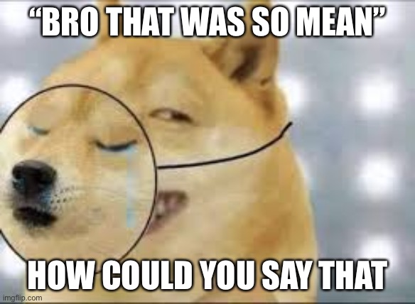 “BRO THAT WAS SO MEAN” HOW COULD YOU SAY THAT | made w/ Imgflip meme maker