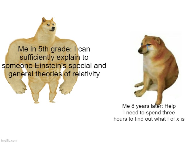 How the times have changed... | Me in 5th grade: I can sufficiently explain to someone Einstein's special and general theories of relativity; Me 8 years later: Help I need to spend three hours to find out what f of x is | image tagged in memes,buff doge vs cheems,math | made w/ Imgflip meme maker