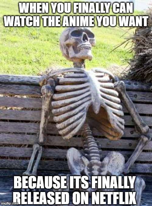 Waiting Skeleton | WHEN YOU FINALLY CAN WATCH THE ANIME YOU WANT; BECAUSE ITS FINALLY RELEASED ON NETFLIX | image tagged in memes,waiting skeleton | made w/ Imgflip meme maker