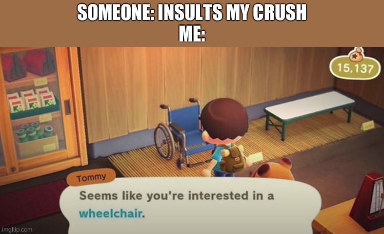 e | SOMEONE: INSULTS MY CRUSH
ME: | image tagged in seems like you're interested in a wheelchair | made w/ Imgflip meme maker