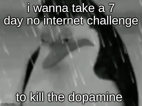 dopamine is a addictive hormone | i wanna take a 7 day no internet challenge; to kill the dopamine | image tagged in the sad | made w/ Imgflip meme maker