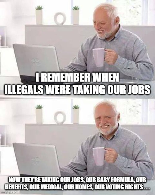 This administration hates you. They hate illegals too, but they want their votes. Baby formula? Naw, the illegal gets it. | I REMEMBER WHEN ILLEGALS WERE TAKING OUR JOBS; NOW THEY'RE TAKING OUR JOBS, OUR BABY FORMULA, OUR BENEFITS, OUR MEDICAL, OUR HOMES, OUR VOTING RIGHTS . . . | image tagged in memes,hide the pain harold | made w/ Imgflip meme maker
