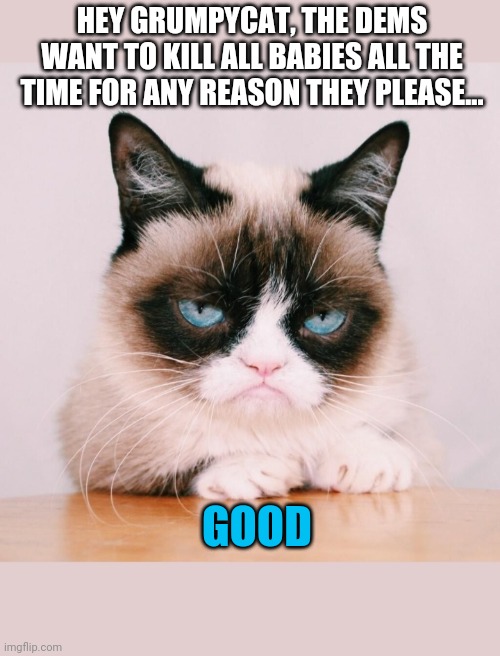 Grumpy Agrees | HEY GRUMPYCAT, THE DEMS WANT TO KILL ALL BABIES ALL THE TIME FOR ANY REASON THEY PLEASE... GOOD | image tagged in evil clown,occupy democrats,grumpy cat happy | made w/ Imgflip meme maker