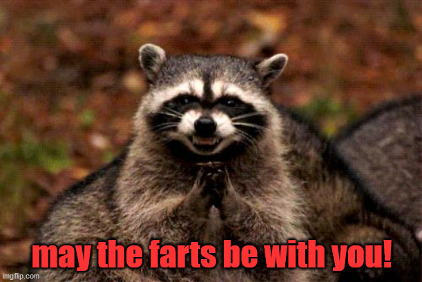 Evil Plotting Raccoon Meme | may the farts be with you! | image tagged in memes,evil plotting raccoon | made w/ Imgflip meme maker