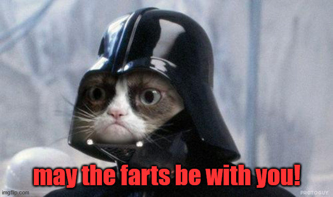 Grumpy Cat Star Wars Meme | may the farts be with you! | image tagged in memes,grumpy cat star wars,grumpy cat | made w/ Imgflip meme maker
