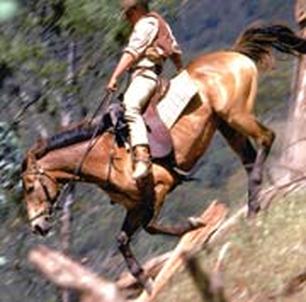 The Man From Snowy River Blank Meme Template